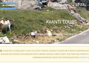 Webdesign Avanti Tours
