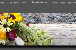 Website Crystal Dalman Photography